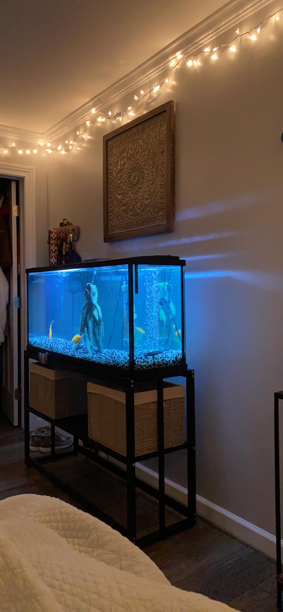 Akenow 55-75 Gallon Fish Tank Stand with Storage Shelf, Aquarium Stand | 48.5 x14.9 x 29.2 Inch, Turtle Tank, Reptile Terrariums and Breeder Tank Stand, 980LBS Capacity, Black customer photo 1