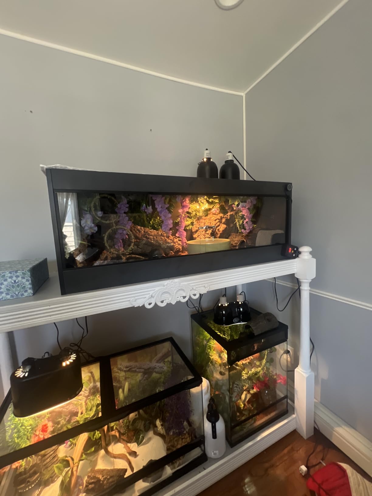 REPTI ZOO 68 Gallon PVC Reptile Terrariums, 48x18x18 Reptile Tanks Enclosure for Bearded Dragon Ball Python Snake Gecko, PVC Reptile Lounge Habitat with Glass Sliding Door & Top Screen Ventilation customer photo 1