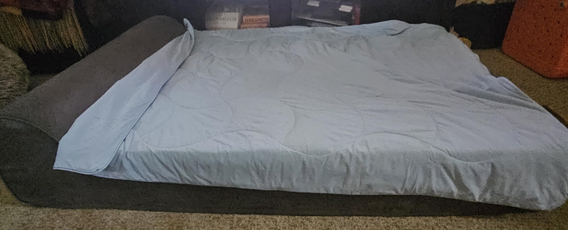 Orthopedic Dog Beds for Large Dogs, 7