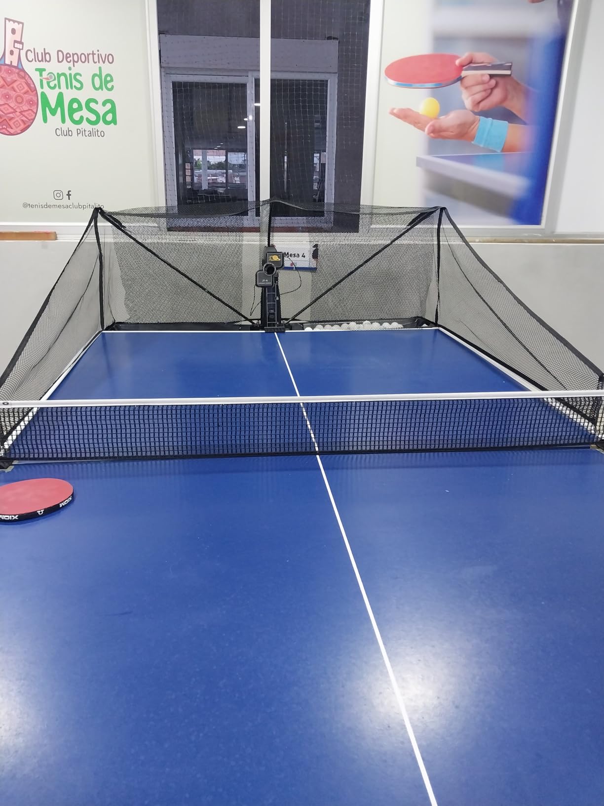 WAYMARK Ping Pong Machine with Net Table Tennis Robot JT-A with Intercepted Net for Training Suitable Ping Pong Table Come with 100 Balls customer photo 1