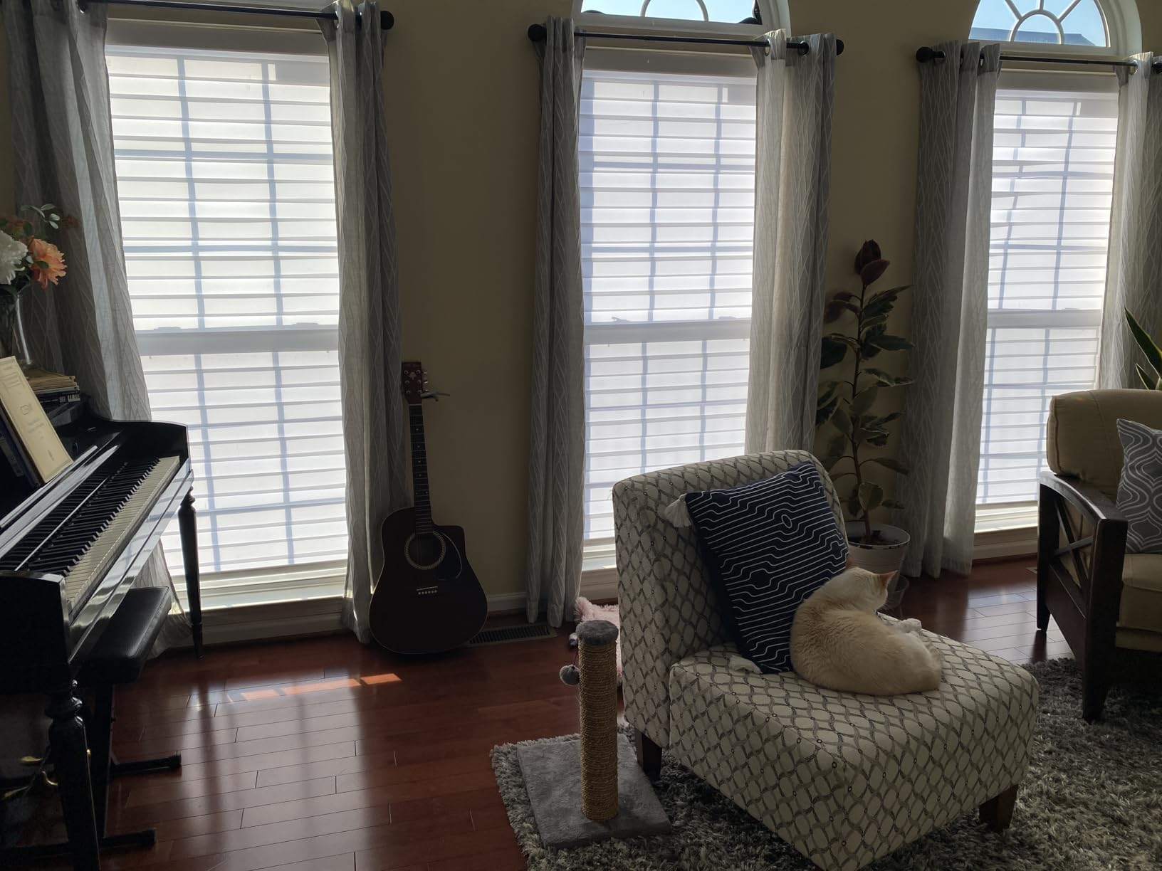 Motorized Zebra Blinds with Remote, Rechargeable Electric Shades | Adjustable Stop Zebra Shade for Bedroom, Bathroom, Blackout Fabric for Privacy, White, 34