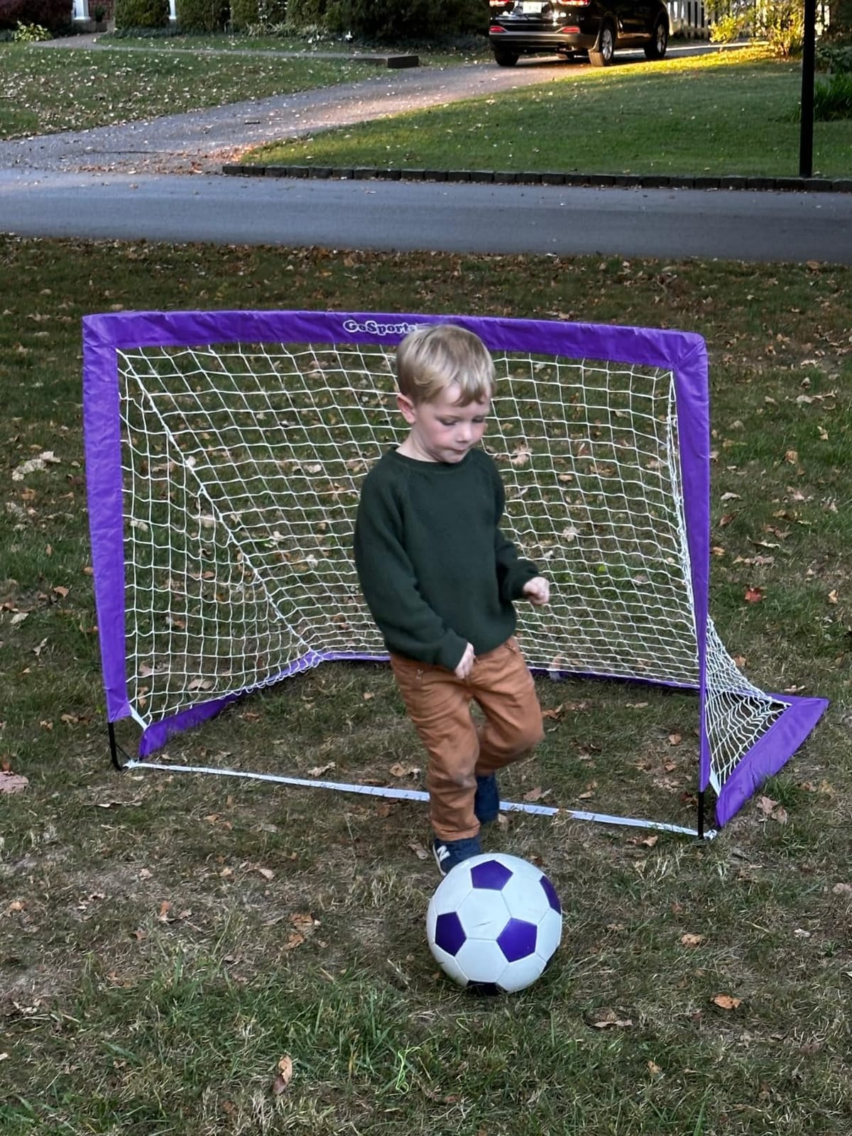 GoSports Portable Soccer Goals for Kids - 13 Color Options - Choose 4 x 3 ft or 6 x 4 ft - Team Tone Pop Up Nets for Backyard customer photo 1