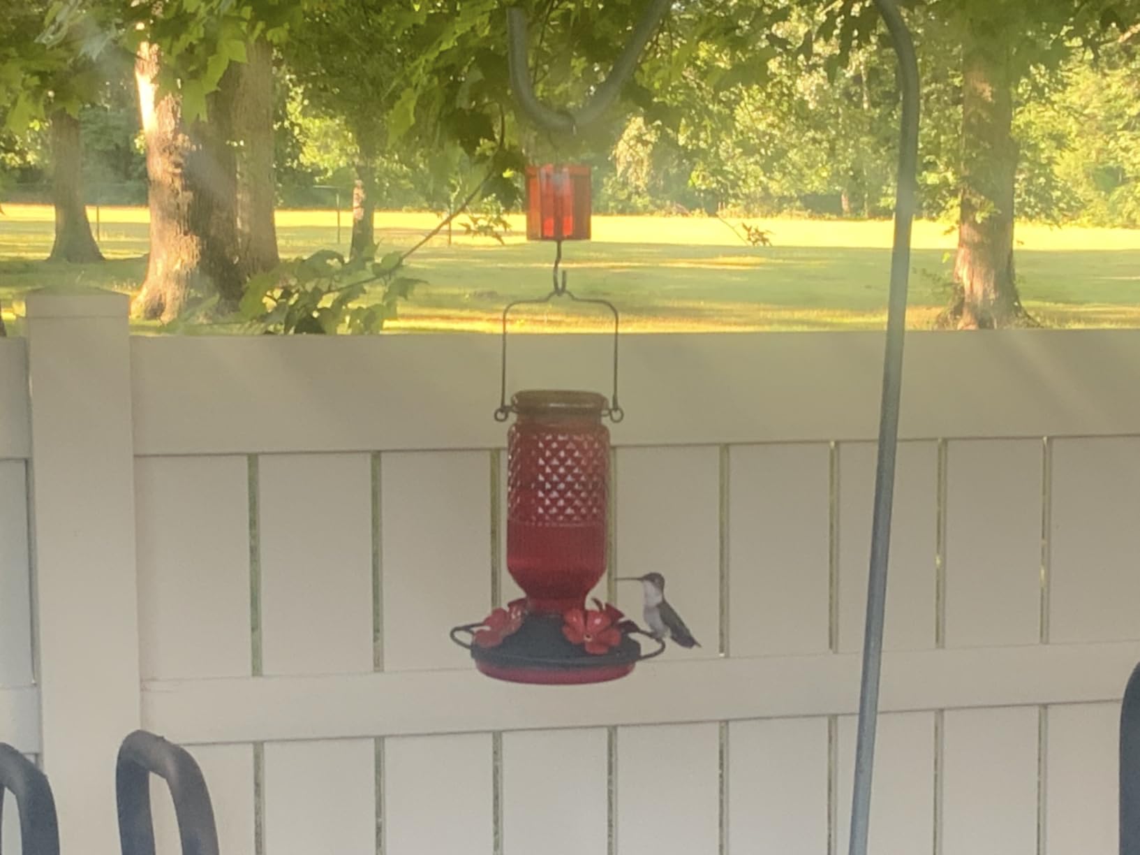 FEED GARDEN Glass Hummingbird Feeder for Outdoors Hanging, 16 oz Leak-Proof Nectar Feeder with Bee Guards & Ant Moat, 4 Metal Flower Feeding Ports, 360 Perch Ring, Easy Refill & Clean, Red customer photo 1