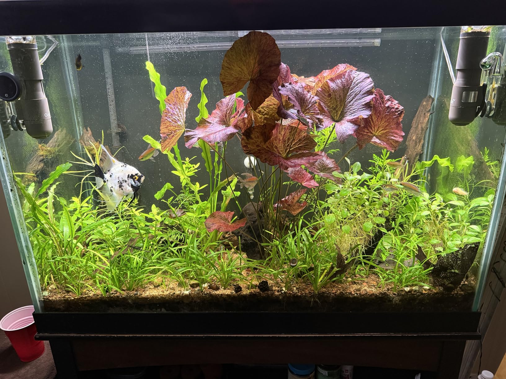 Finnex Planted+ 24/7 Aquarium LED Light, 660nm Plant Red, 3.0 Series, 36