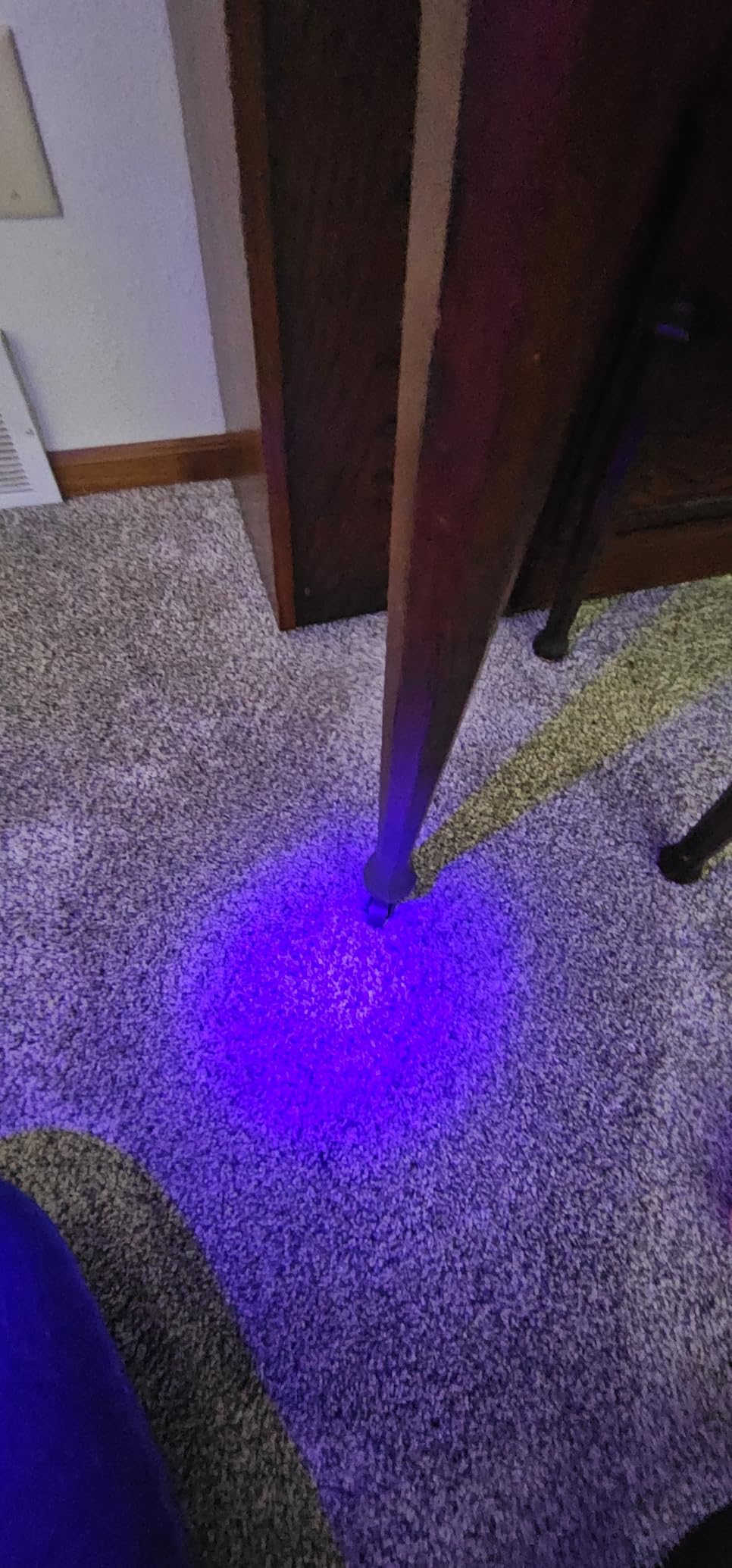 BISSELL Little Green Max Pet Portable Carpet Cleaner, 3860 | Self-Cleaning Tough Stain Tool & Pet Hair Removal Tool; car/auto detailing; deep upholstery cleaning customer photo 2