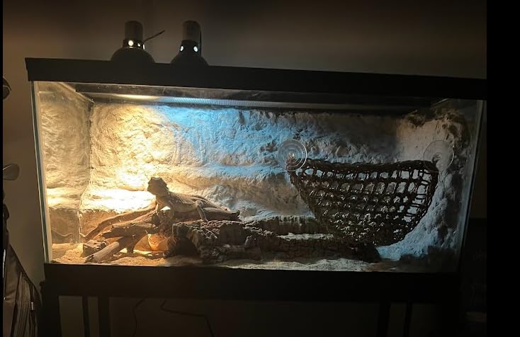 55-75 Gallon Fish Tank Stand, Aquarium & Terrarium Stand for Home Office | Dual-layer design to hold aquariums and terrariums. Overall dimension is 48.4