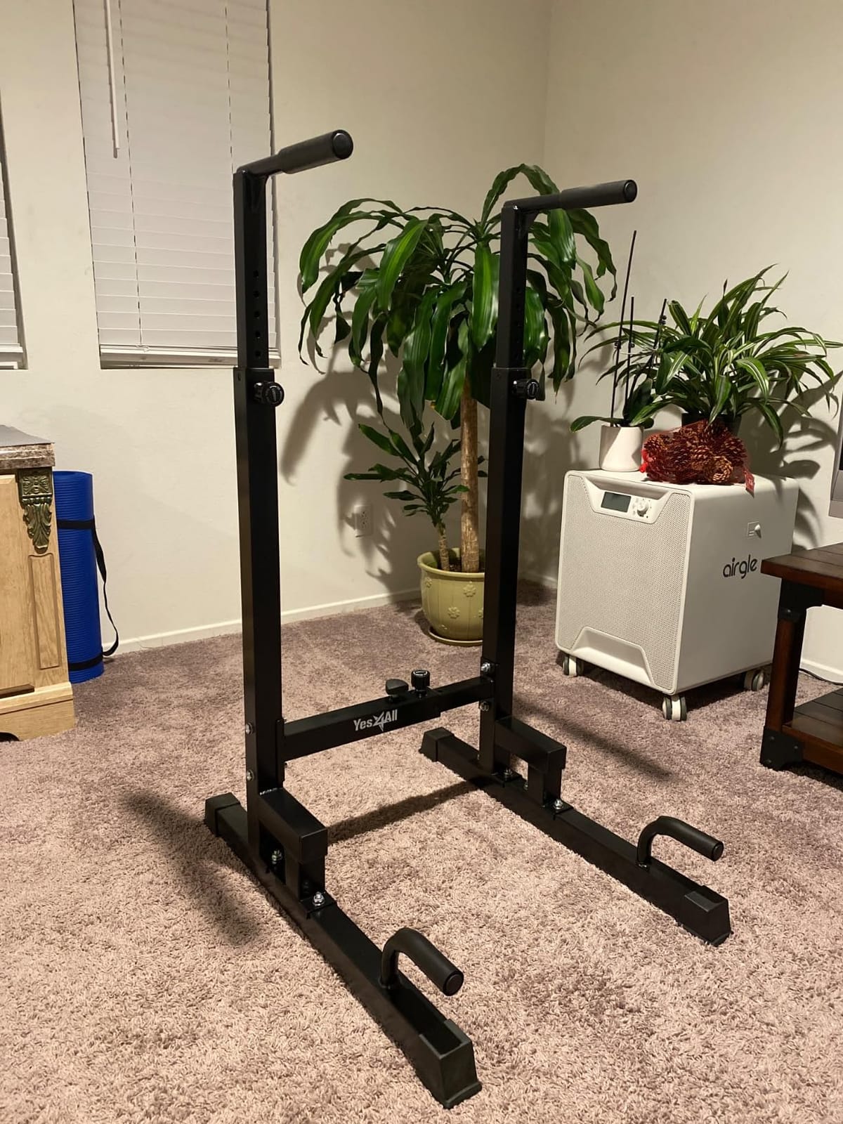 Yes4All Dip Stand 500 LBS Capacity, 80 Levels Adjustable Dip Bars, Dip Station Machine for Home Gym customer photo 2
