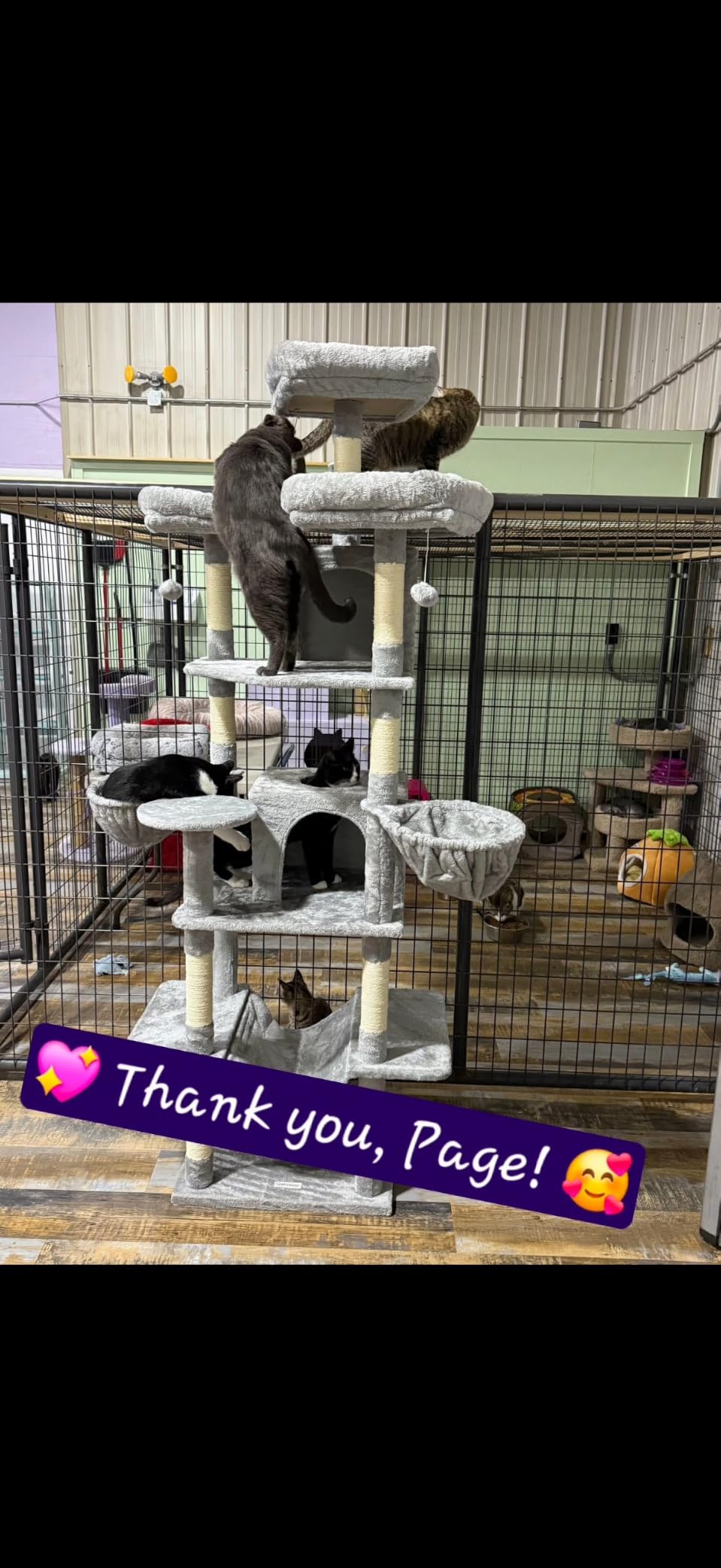 Globlazer Big Cat Tower for Indoor Cats, 80inch Cat Tower for Multiple Adult Cats XXL Cat Tree with Scratching Post, Hammock, 3 Perches, 2 Condos, 2 Hanging Basket, F80, Dark Grey customer photo 1