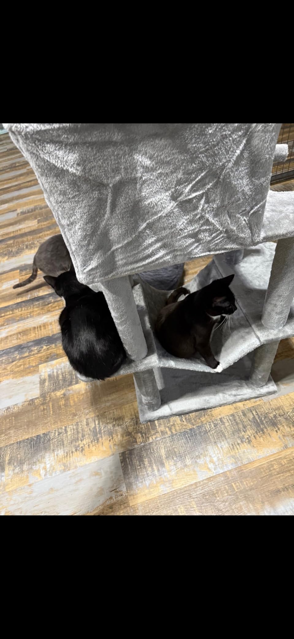 Globlazer Big Cat Tower for Indoor Cats, 80inch Cat Tower for Multiple Adult Cats XXL Cat Tree with Scratching Post, Hammock, 3 Perches, 2 Condos, 2 Hanging Basket, F80, Dark Grey customer photo 2