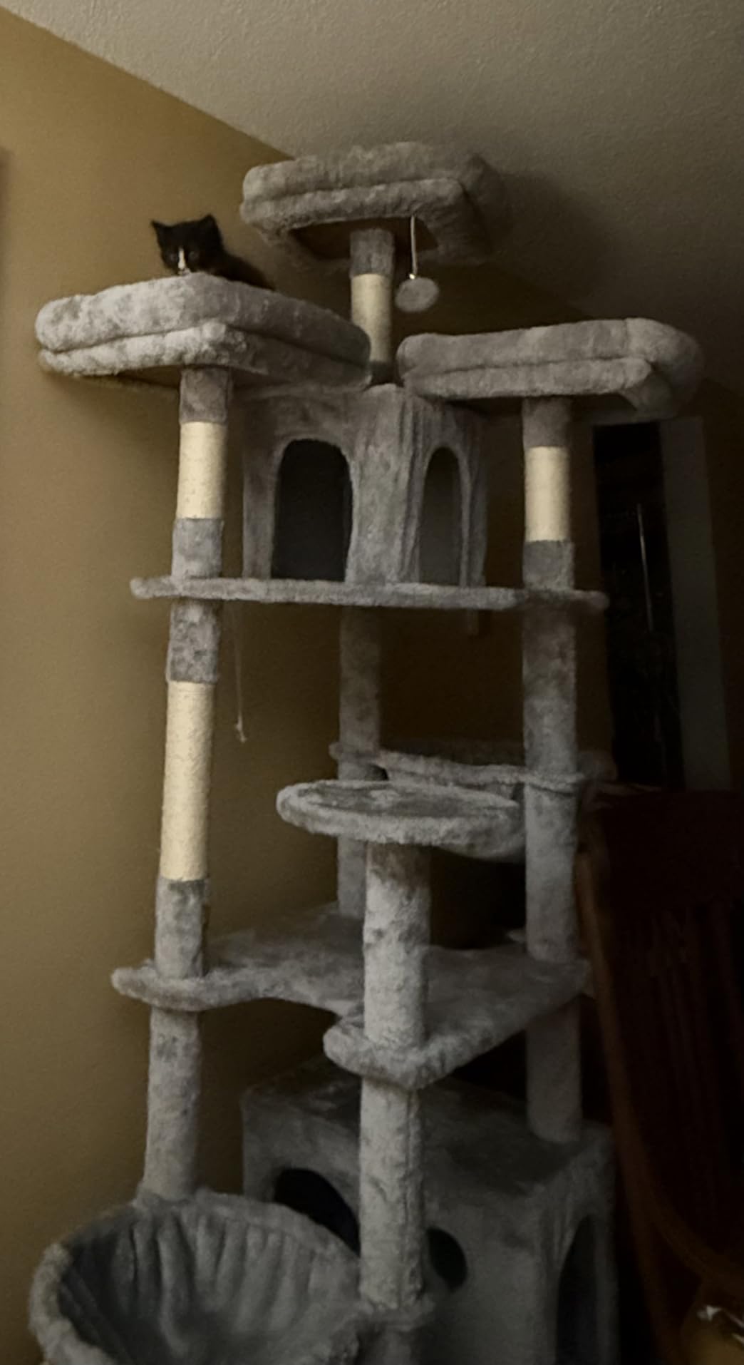 Globlazer Cat Trees and Towers for Multiple Adult Cats, 82-inch XXL Tall Cat Tree Tower for Indoor Cats with Scratching Post, 3 Perches, 2 Condos, 2 Hanging Baskets, F82, Light Grey customer photo 1