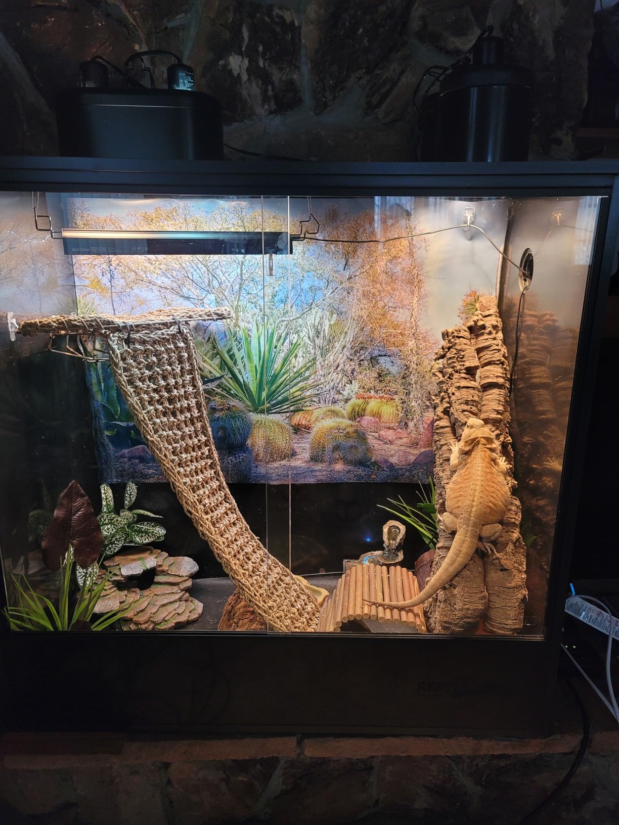 REPTI ZOO 67 Gallon PVC Tall Reptile Tank, 24 x18x36 inch Large Reptile Terrarium for Gecko Lizard Chameleon Frog Snake, Enclosure Habitat with Sliding Door & Top Screen Ventilation customer photo 1