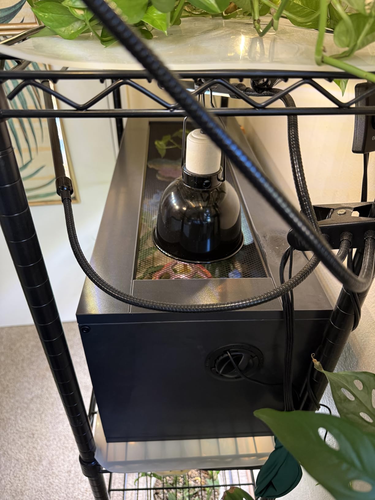 REPTI ZOO 20 Gallon PVC Reptile Tank, 30x12x12 inch Reptile Terrarium for Crested Gecko Frog Lizard Snake Turtle Hermit Crab, Leopard Gecko Enclosure with Sliding Door & Screen Ventilation customer photo 2