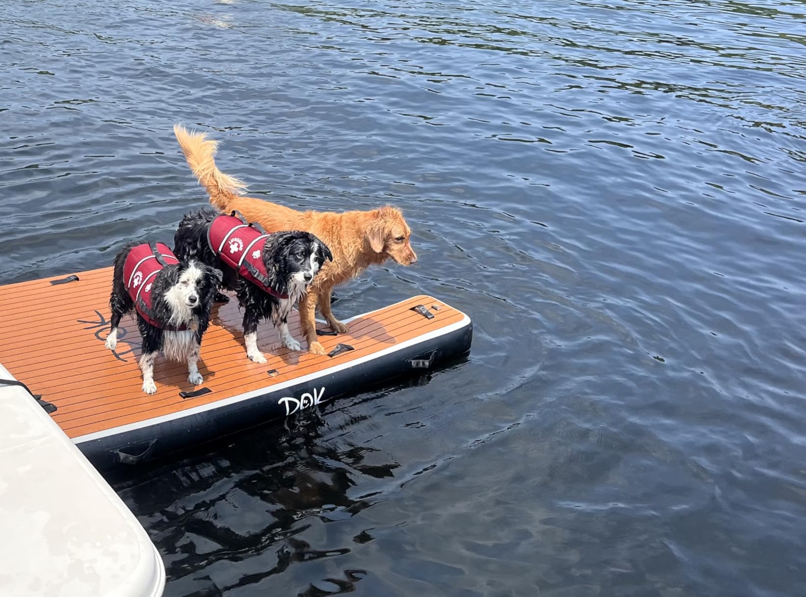 DOK Party-DOK Inflatable Dock Platform: Safe & Easy Water Access; Floating Non-Slip EVA Foam with Water Ramp for Pool, Dock, & Lake | Military Grade & High Visibility customer photo 1