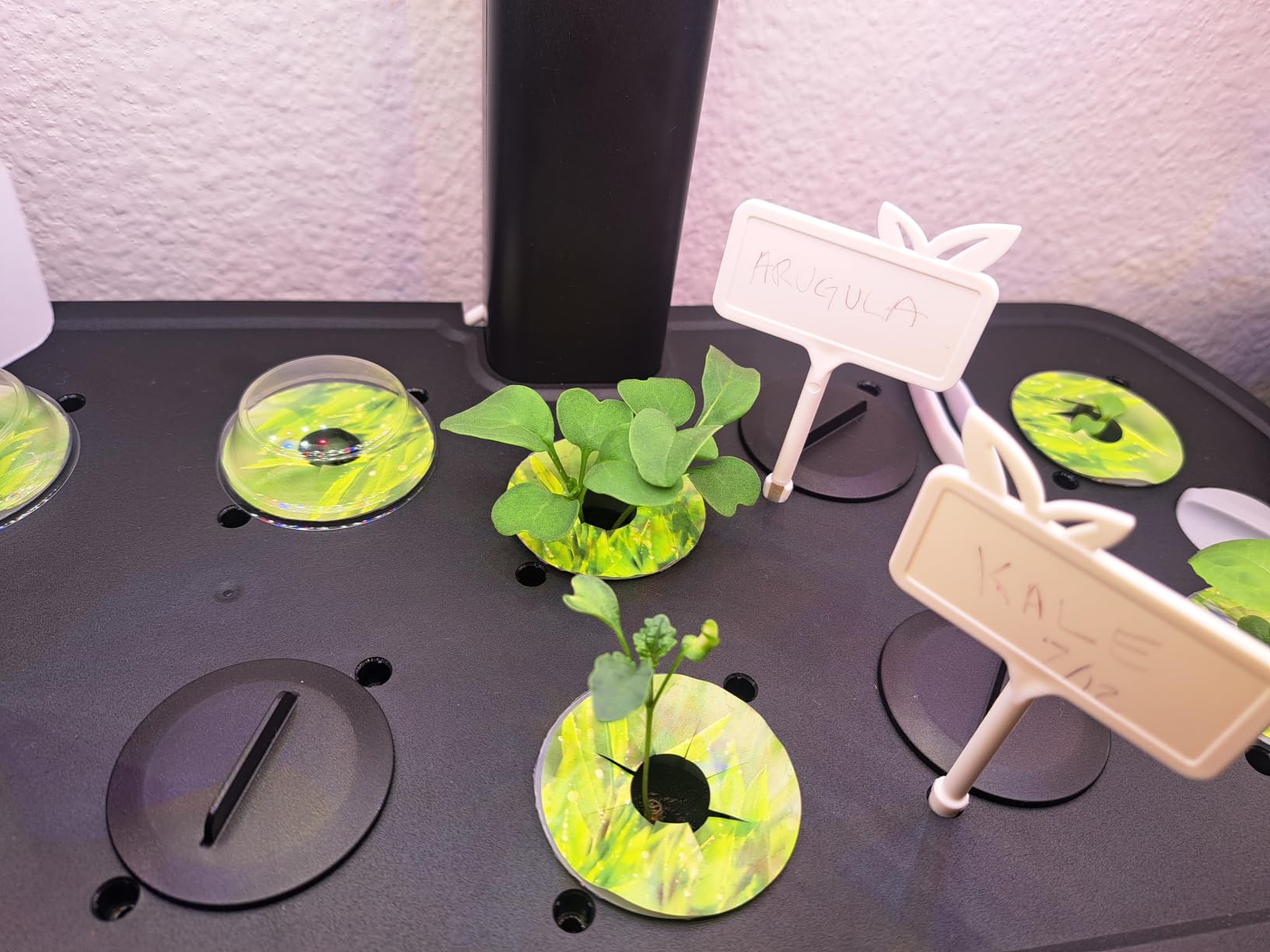 LetPot LPH-Air Hydroponics Growing System, APP & WiFi Controlled Smart Indoor Garden, 10 Pods with Adjustable 24W Grow Light customer photo 1
