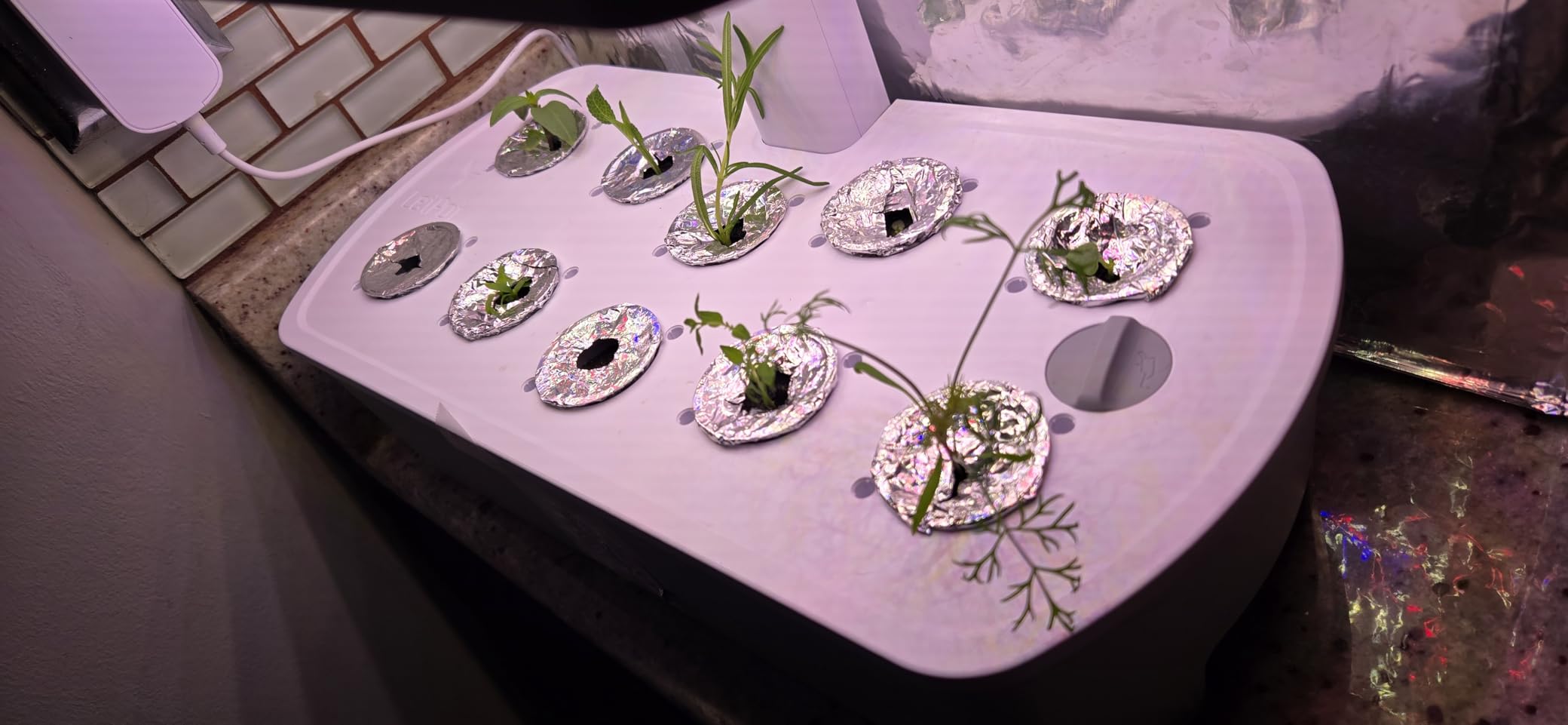 LetPot LPH-Air Hydroponics Growing System, APP & WiFi Controlled Smart Indoor Garden, 10 Pods with Adjustable 24W Grow Light customer photo 2