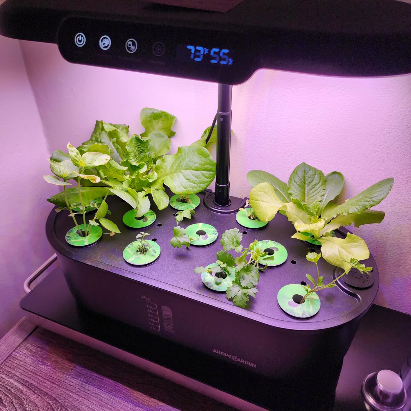 Hydroponics Growing System Kit: 12 Pods with Temp & Humidity Monitor, Indoor Herb Garden with Full Spectrum LED Grow Light customer photo 2