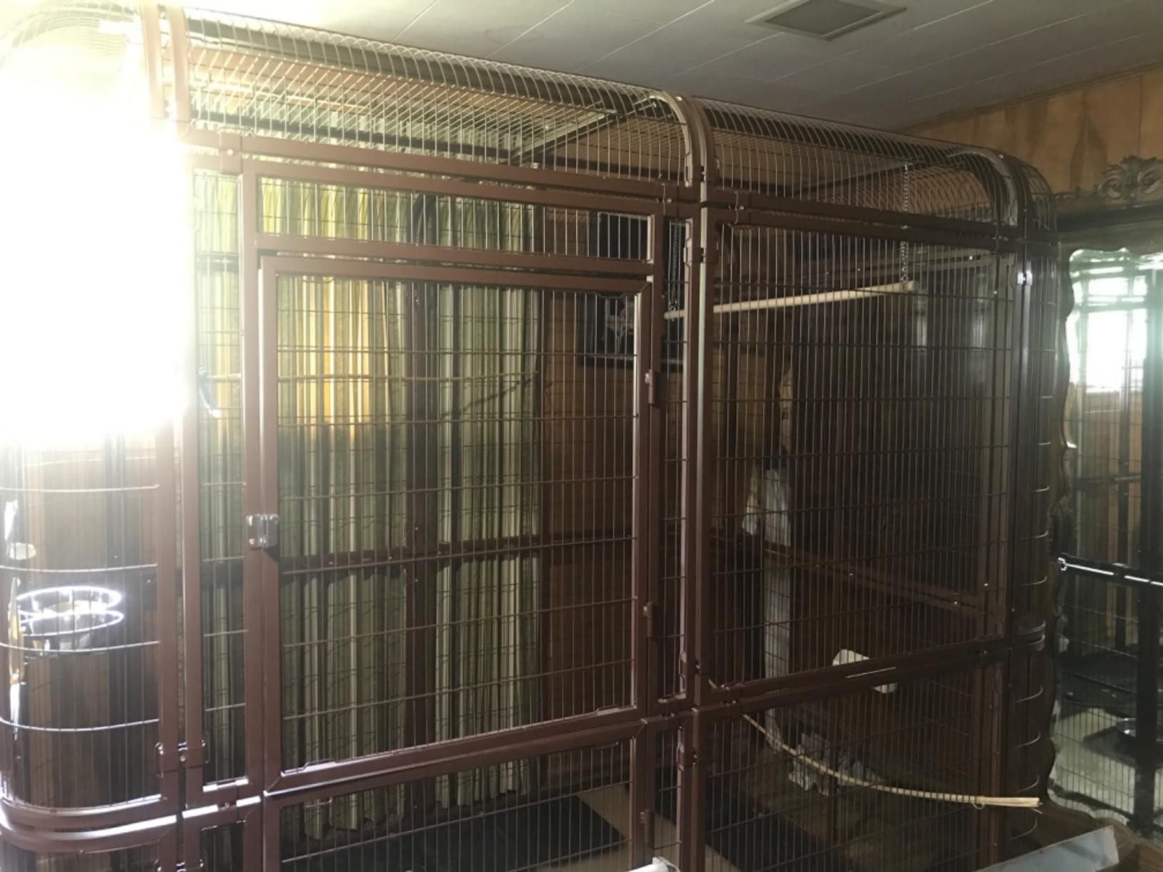 87-Inch Heavy Duty Walk-in Bird Cage - Large Outdoor Aviary Metal Birdcage with Stand, 7.22x5.25x6.8ft Flight Space for Macaw, Budgie, Conure, Lovebird, Parakeet, Cockatiel customer photo 1