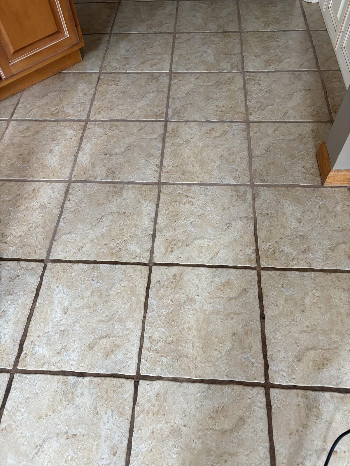 Shark Steam Pickup 3-in-1 Steam Mop for Sealed Hard Floors, SD201 | Picks Up Debris, Deep Scrubs & Steam Sanitizes All At Once, Lightweight Steam Cleaner customer photo 2