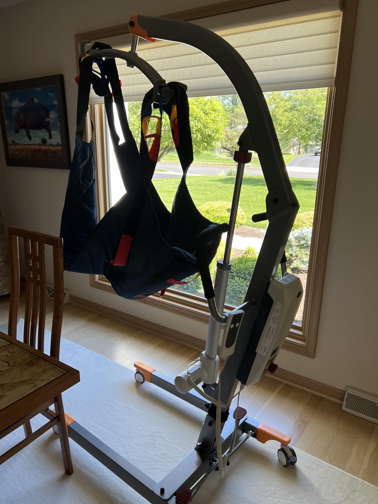 Aluminum Electric Patient Lift for Home, Lightweight Premium 300lbs Patient Lift | Folding Body Transfer Lift for Car | Upgraded Version customer photo 1