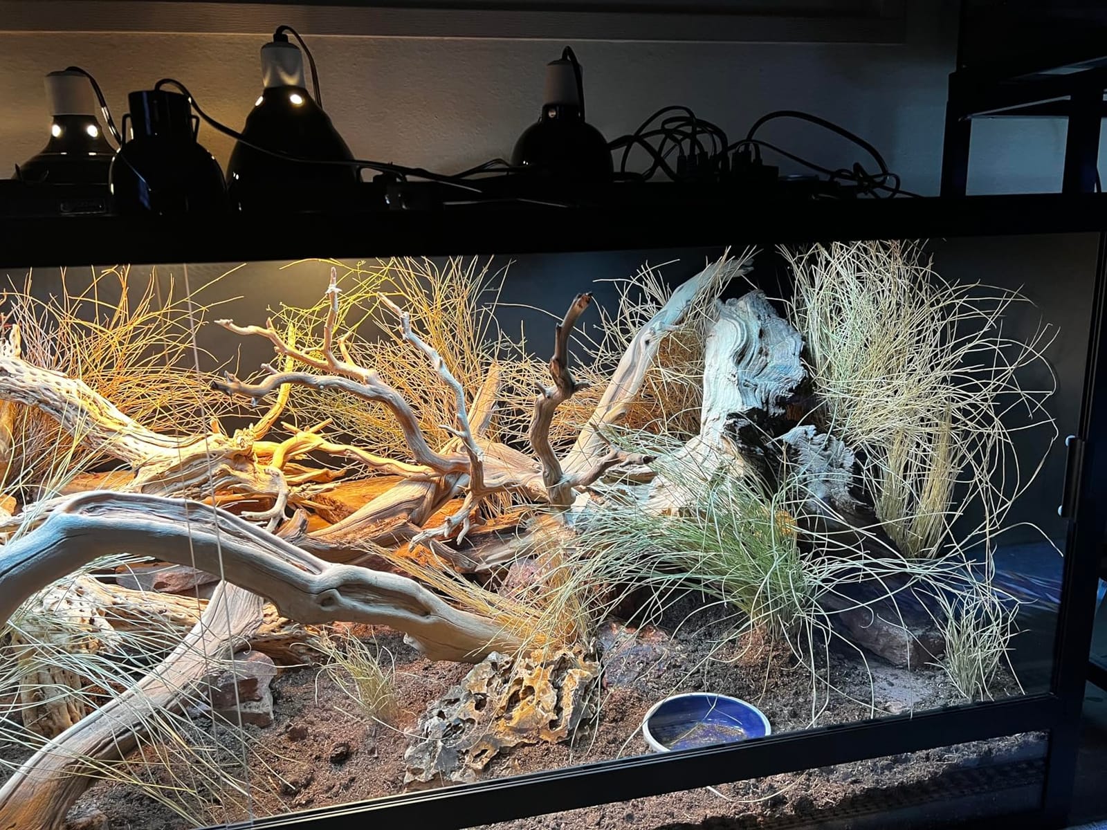 Reptile Habitats 5x2x2 (150 Gallon) Reptile Enclosure PVC Panels, Glass Doors, Lightweight, Easy to Assemble, Heavy Duty Screen, Aluminum Frame customer photo 1
