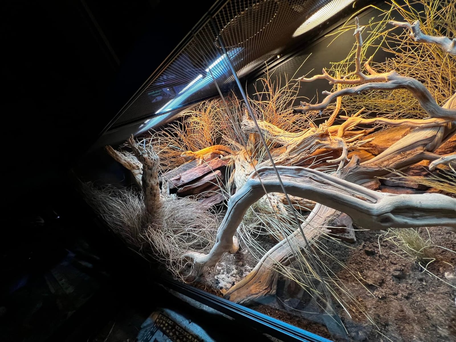 Reptile Habitats 5x2x2 (150 Gallon) Reptile Enclosure PVC Panels, Glass Doors, Lightweight, Easy to Assemble, Heavy Duty Screen, Aluminum Frame customer photo 2