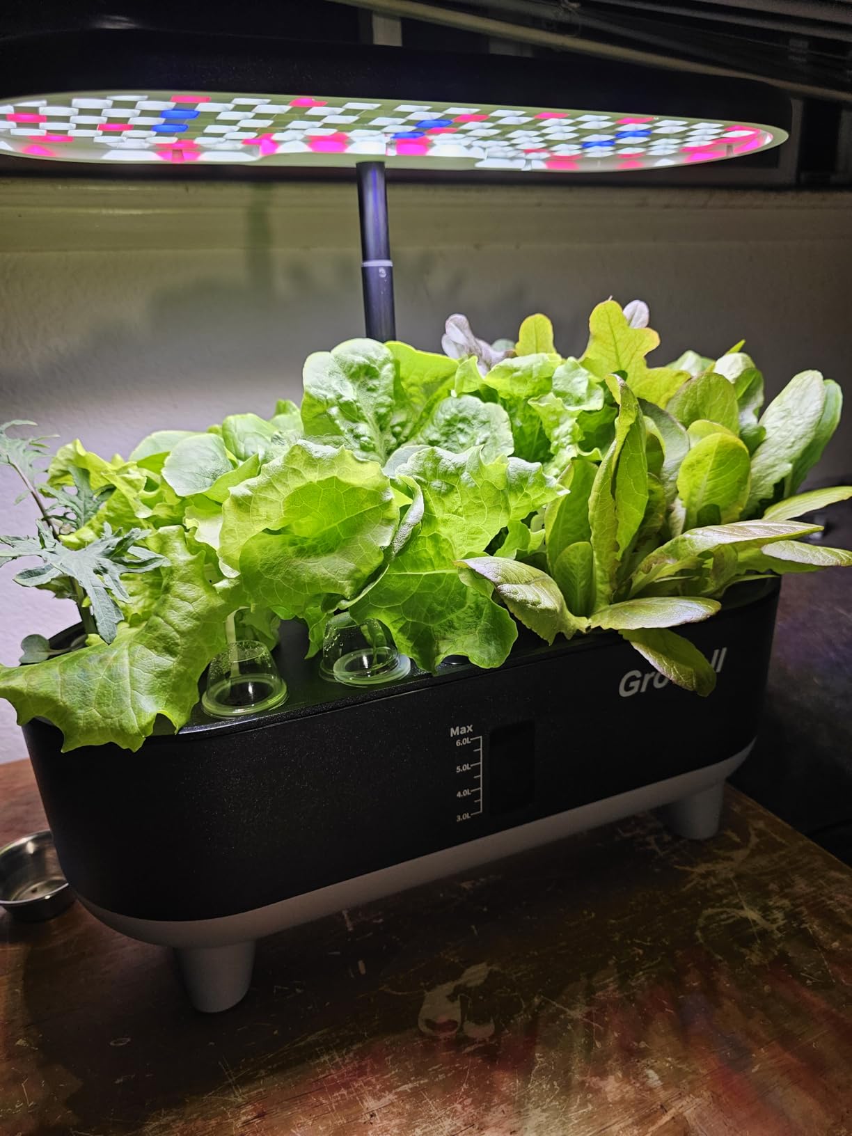 Growell Hydroponics Growing System Kit, 16 Pods Indoor Garden with 28W Full Spectrum LED Grow Light, Auto Timer, 3 Smart Light Modes, 8L Large Water Tank customer photo 1