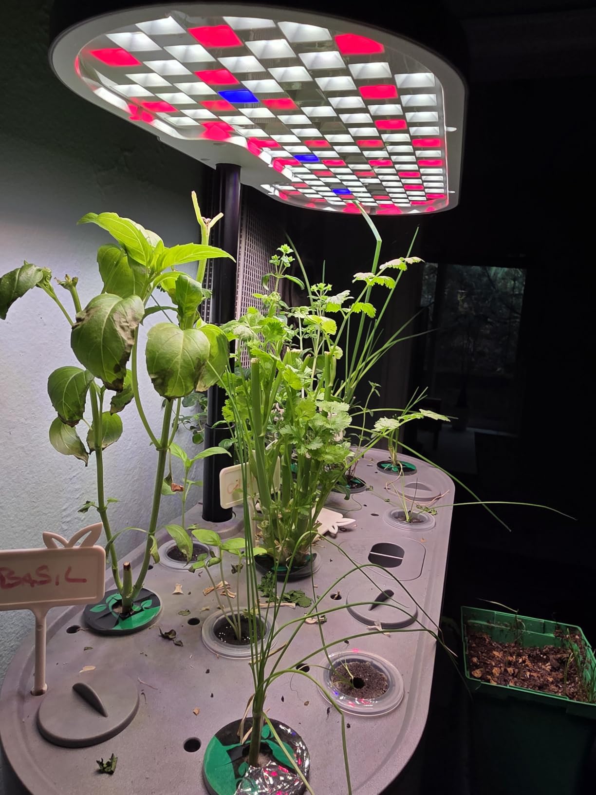 Growell Hydroponics Growing System Kit, 16 Pods Indoor Garden with 28W Full Spectrum LED Grow Light, Auto Timer, 3 Smart Light Modes, 8L Large Water Tank customer photo 2