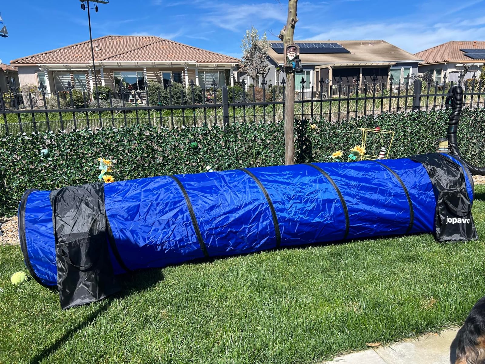 Dog Agility Training Equipment Tunnel: JOPAVO 10 Foot Agility Tunnel with 2 Pack Sandbags, Carry Bag and 4 Ground Spikes. Ideal Agility Equipment for Dog Obstacle Course, Exercise & Park customer photo 2
