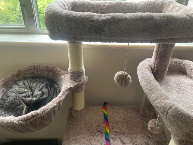 Tall Cat Tree Tower for Multiple Cats, Large Condo, GCT031G | 78.7in(200cm) Multi-level Scratching Post for Indoor Large Adult, 2 Condo, 4 Platforms, 3 Hammock, Sisal Rope, Toys Smoky Gray customer photo 1