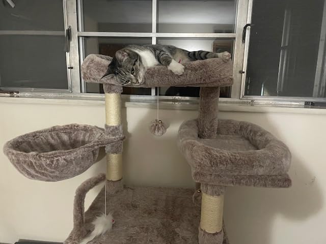 Tall Cat Tree Tower for Multiple Cats, Large Condo, GCT031G | 78.7in(200cm) Multi-level Scratching Post for Indoor Large Adult, 2 Condo, 4 Platforms, 3 Hammock, Sisal Rope, Toys Smoky Gray customer photo 2