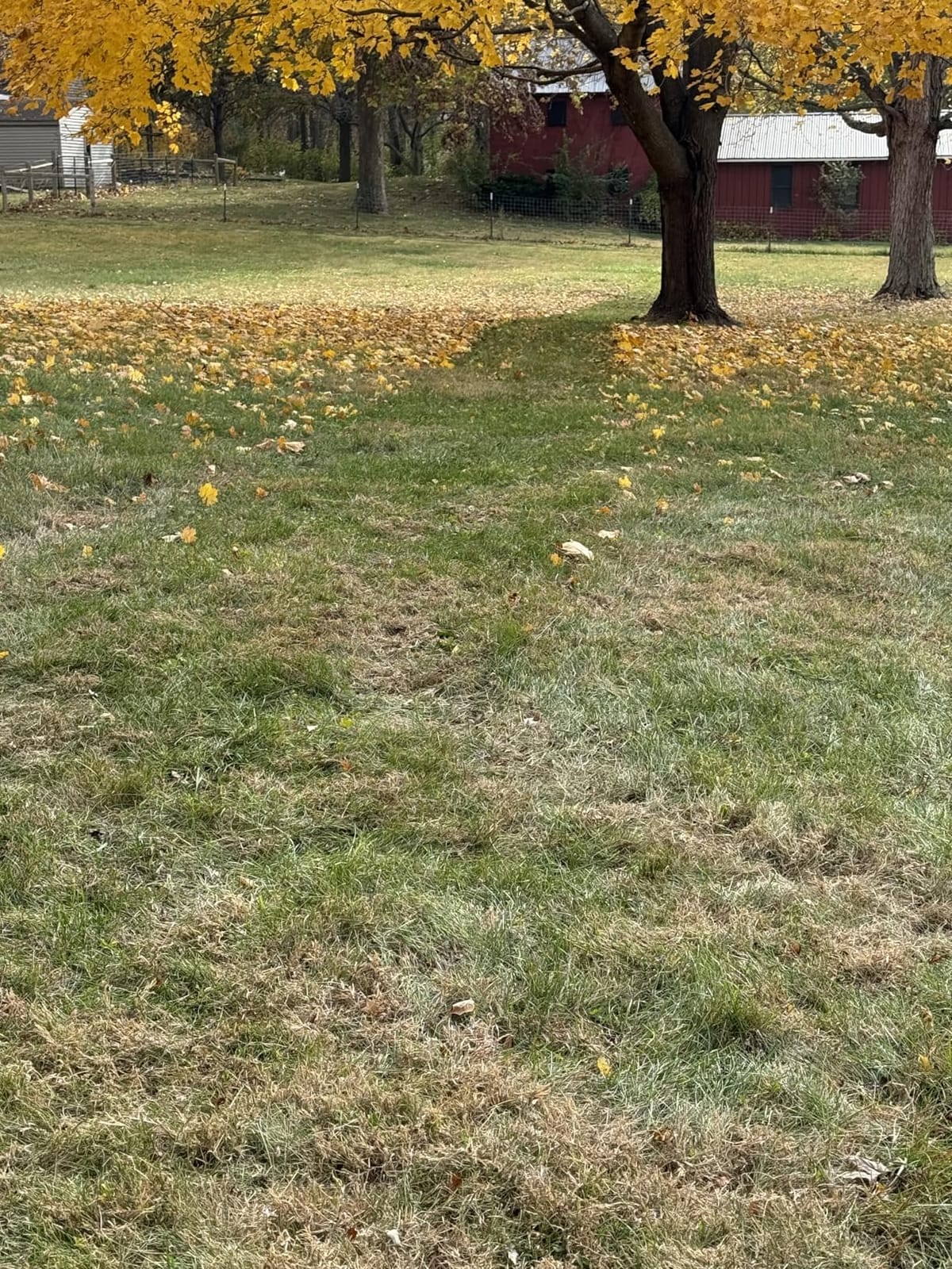 Agri-Fab Soft Top Mow-N-Vac Tow Behind Lawn Vacuum, 29 Cu Ft Leaf and Grass Collection System with 208cc Engine customer photo 2