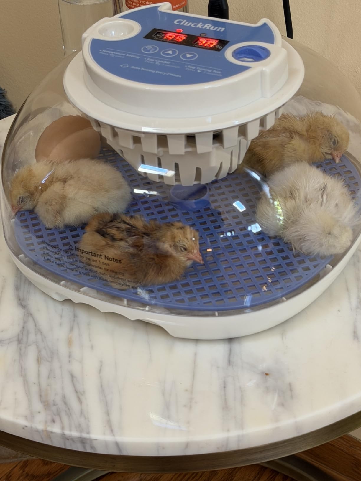 12 Egg Incubators for Hatching Eggs, Auto Turning, Temp & Humidity Control customer photo 1