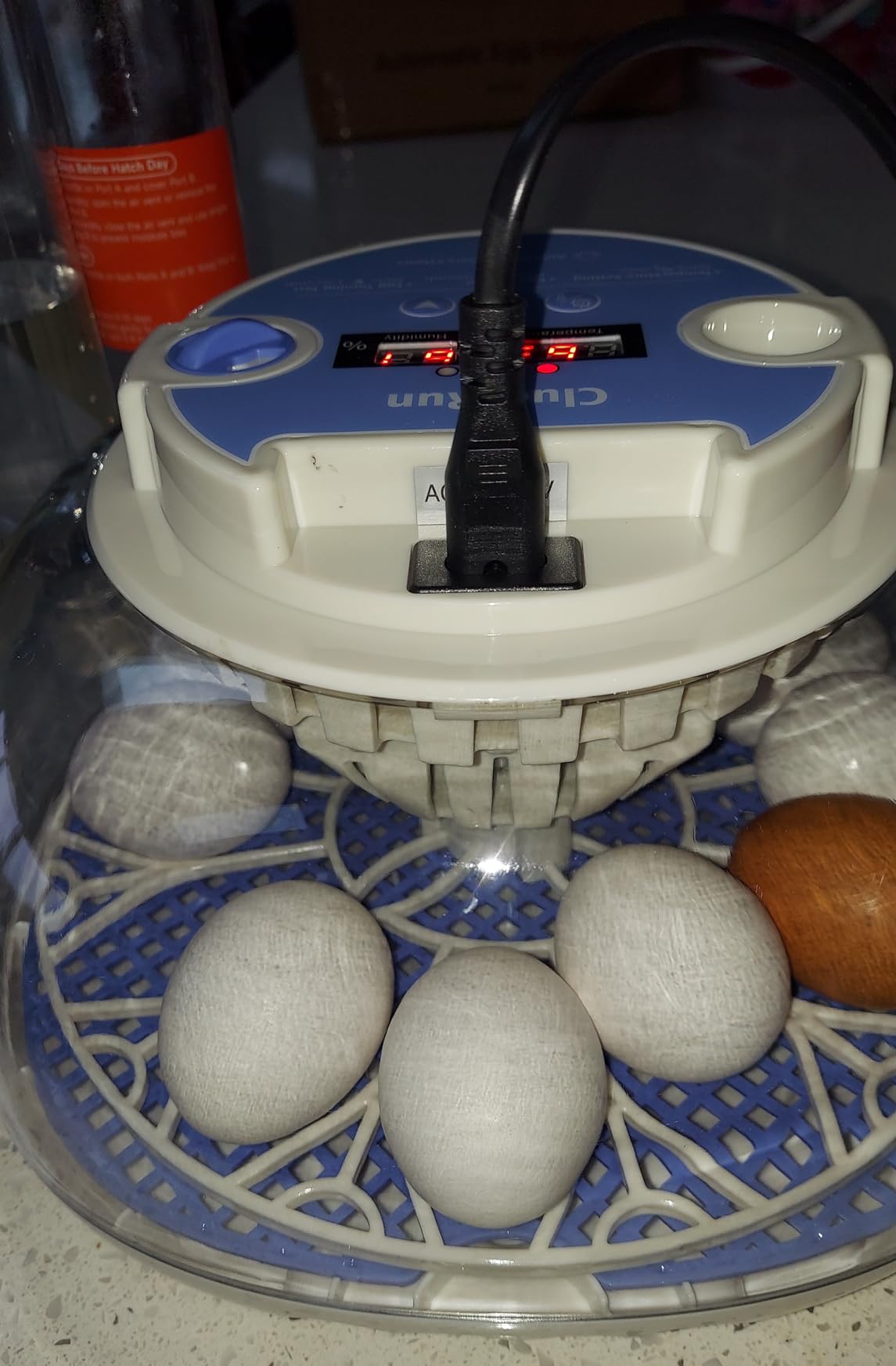 12 Egg Incubators for Hatching Eggs, Auto Turning, Temp & Humidity Control customer photo 2