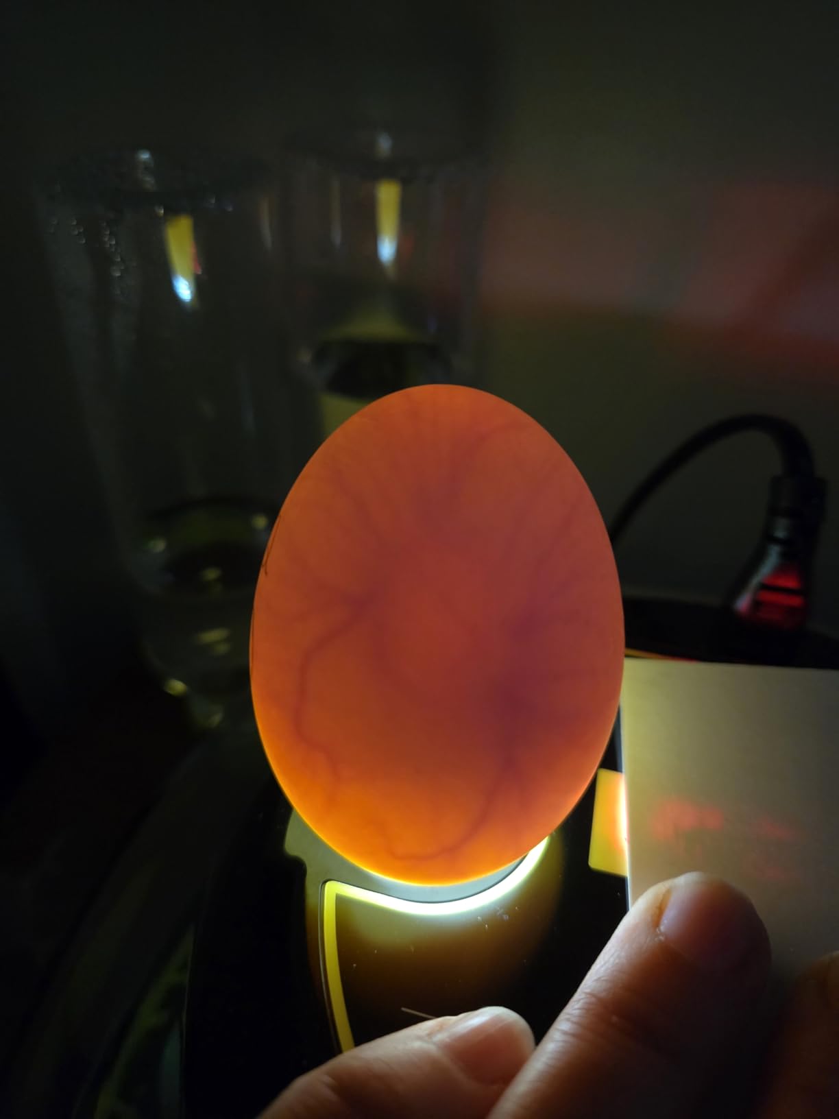 Incubators for Hatching Eggs 12 Egg Incubator with Automatic Egg Turning and Humidity Control,Egg Candler,Auto Water Replenishment,for Chicken Eggs and Quail Egg M12H customer photo 1