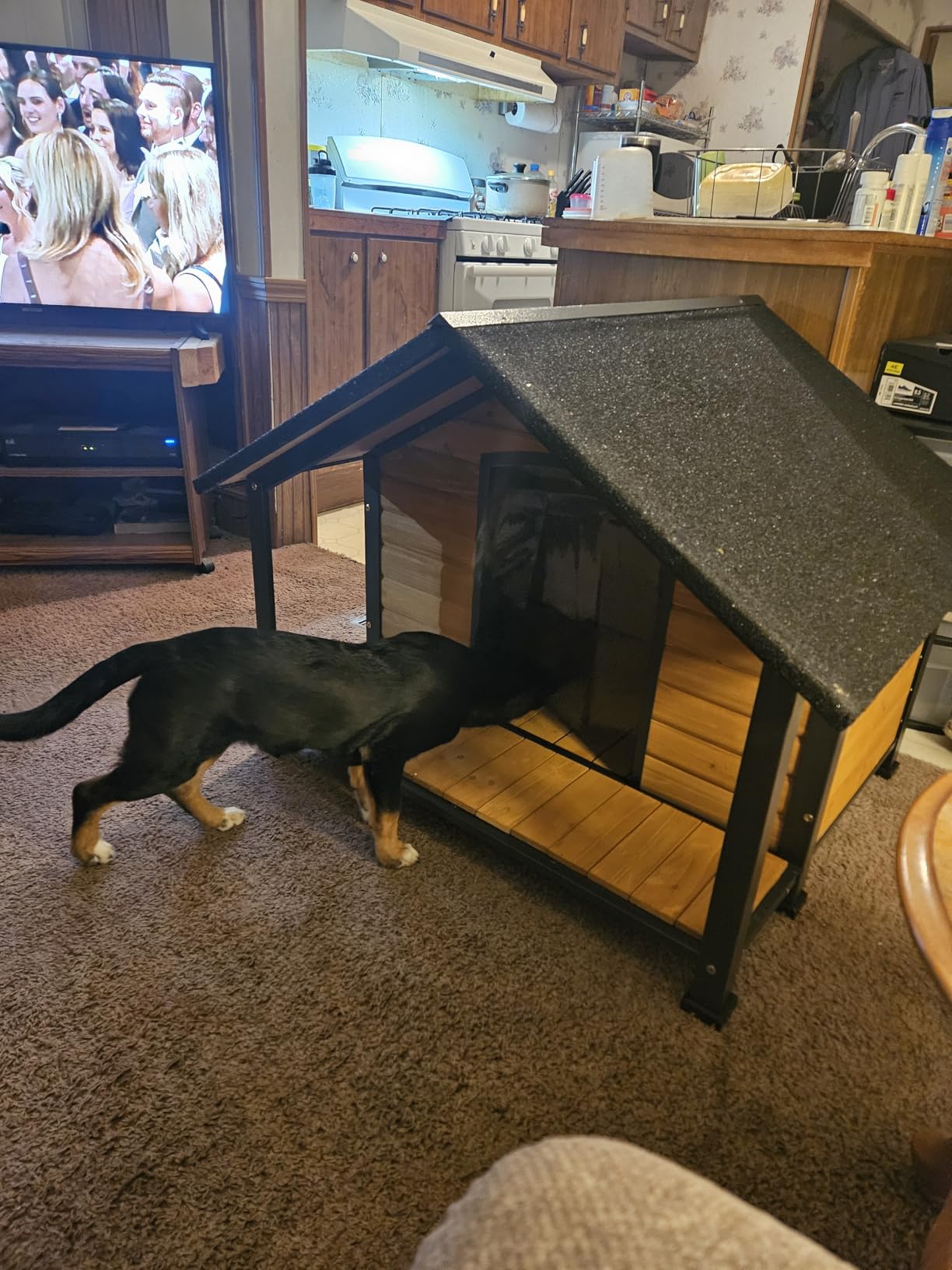 Heated Dog House Outdoor with Insulated Liner, Weatherproof Wooden Dog Shelter for Medium and Large Sized Dogs, Iron Frame Indoor Outdoor Kennel, Pets Warm House in Winter with Large Porch (Brown, M) customer photo 2