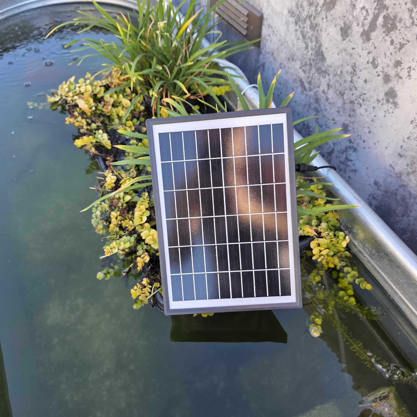 Biling 8W Solar Pond Aerator with 4400mAh Battery Backup for Fish Pond | Solar Aerator with Dual Air Pumps, 2 Air Outlets, 3 Working Modes 24-Hour Operation for Outdoor Small Pond Fish Tank customer photo 1