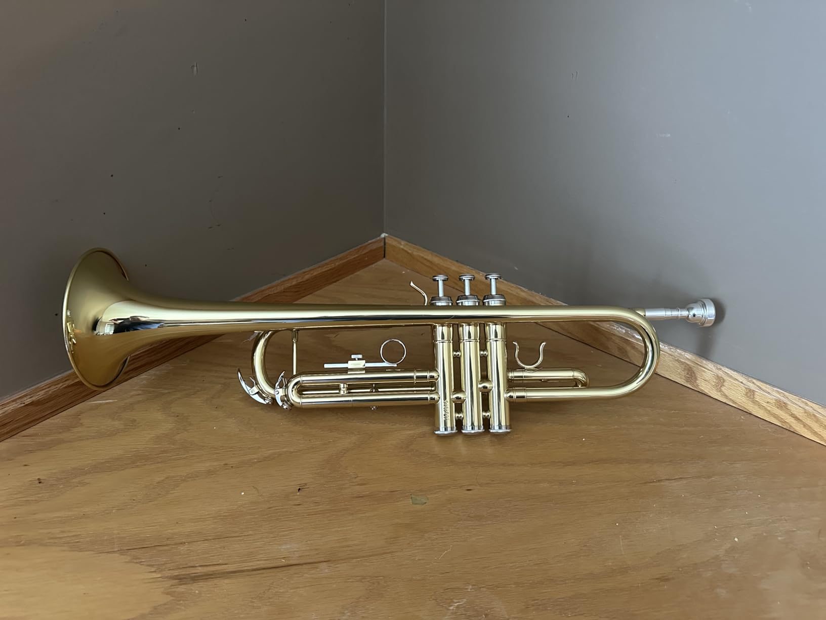 ALLSET Bb Standard Trumpet for Beginners | Student Band, Orchestra, Pro Level Performance | Professional Brass Trumpet Kit with Hard Case, 7C Mouthpiece & Cleaning Kit | Gold customer photo 1