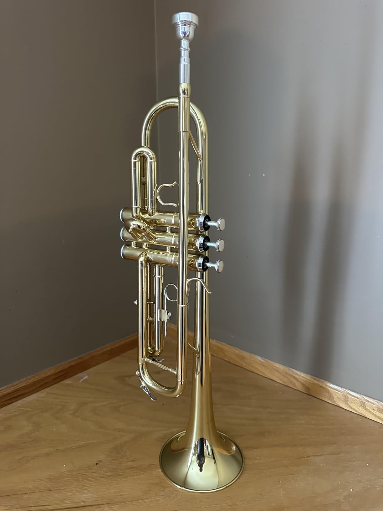 ALLSET Bb Standard Trumpet for Beginners | Student Band, Orchestra, Pro Level Performance | Professional Brass Trumpet Kit with Hard Case, 7C Mouthpiece & Cleaning Kit | Gold customer photo 2