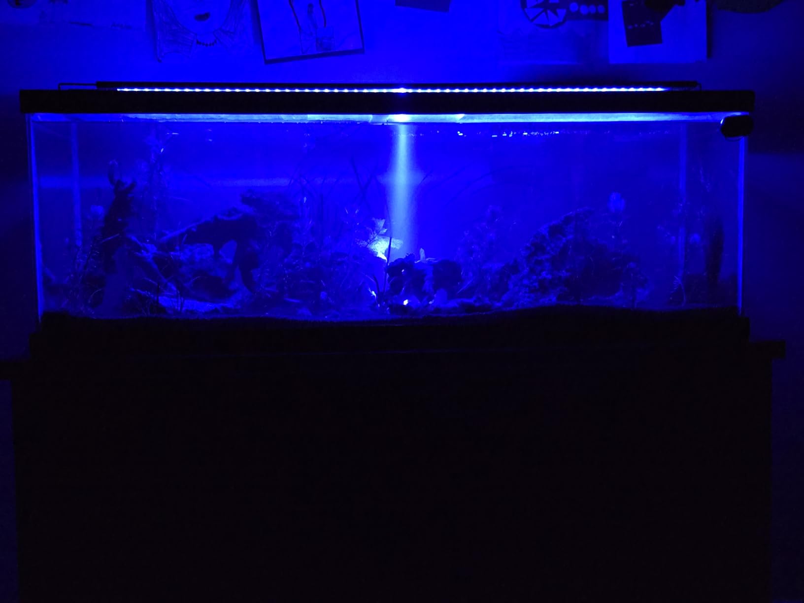 36-47in Freshwater Fish Tank Light, LED Aquarium Light with Moon | Auto Timer with Remote, IP67 Planted Tank Light, Full Spectrum Dimming RGBW+Moon, Fish/Plant/Moon Presets, Custom Mode customer photo 1