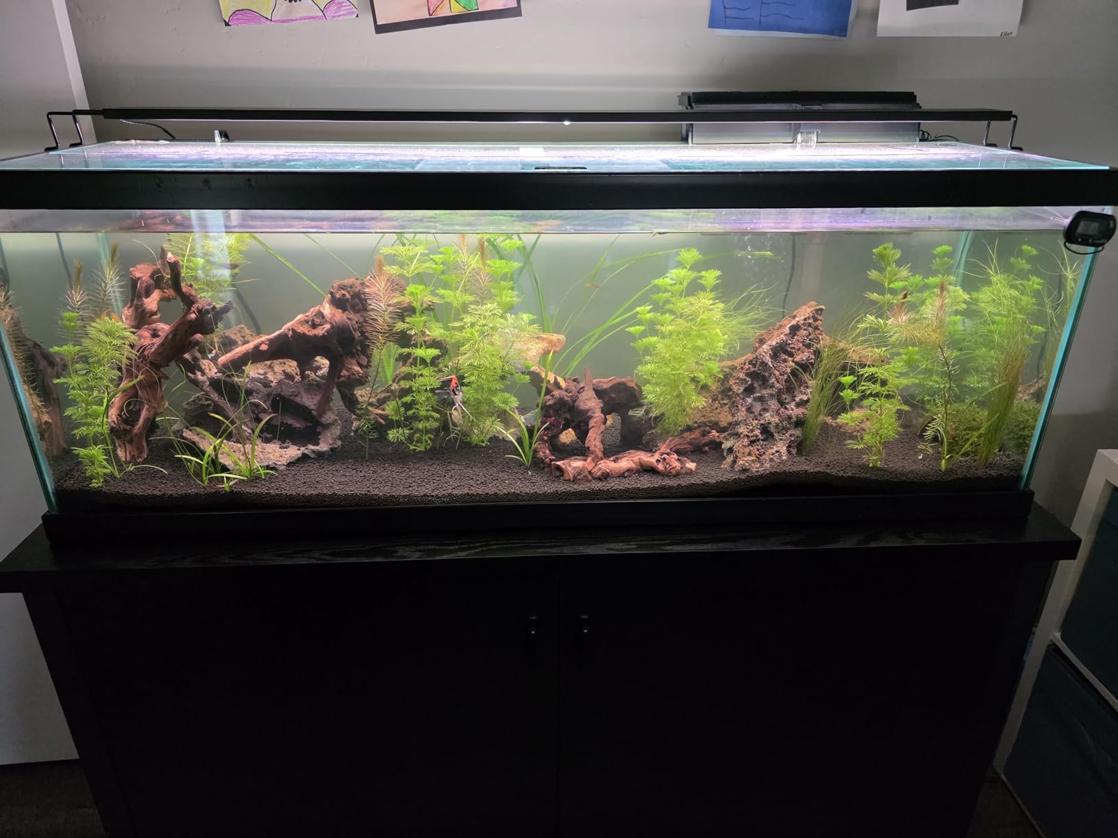 36-47in Freshwater Fish Tank Light, LED Aquarium Light with Moon | Auto Timer with Remote, IP67 Planted Tank Light, Full Spectrum Dimming RGBW+Moon, Fish/Plant/Moon Presets, Custom Mode customer photo 2