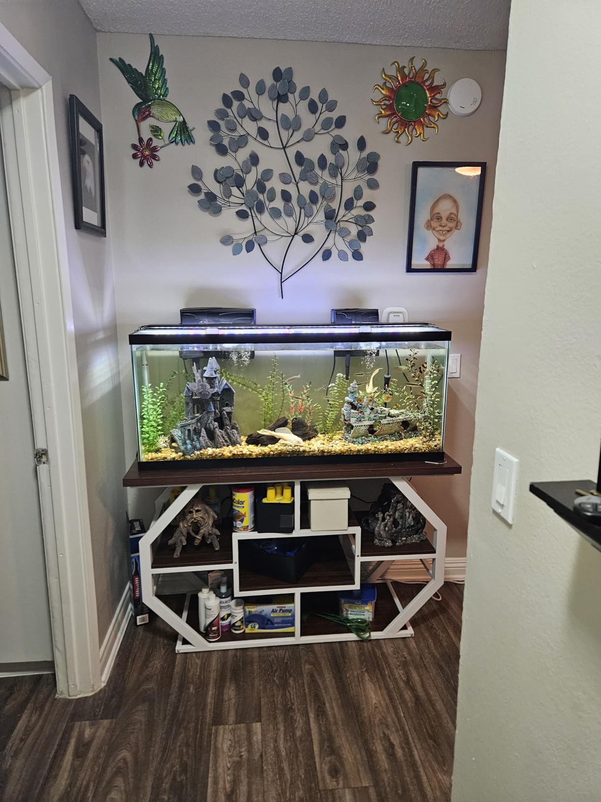 DWVO 55-75 Gallon Aquarium Stand with Power Outlet, Black & Gold | Display Stand for Turtle Tank, Reptile Terrarium, Metal Fish Tank Stand Suitable for Living Room, Entryway, 860LBS Capacity customer photo 2