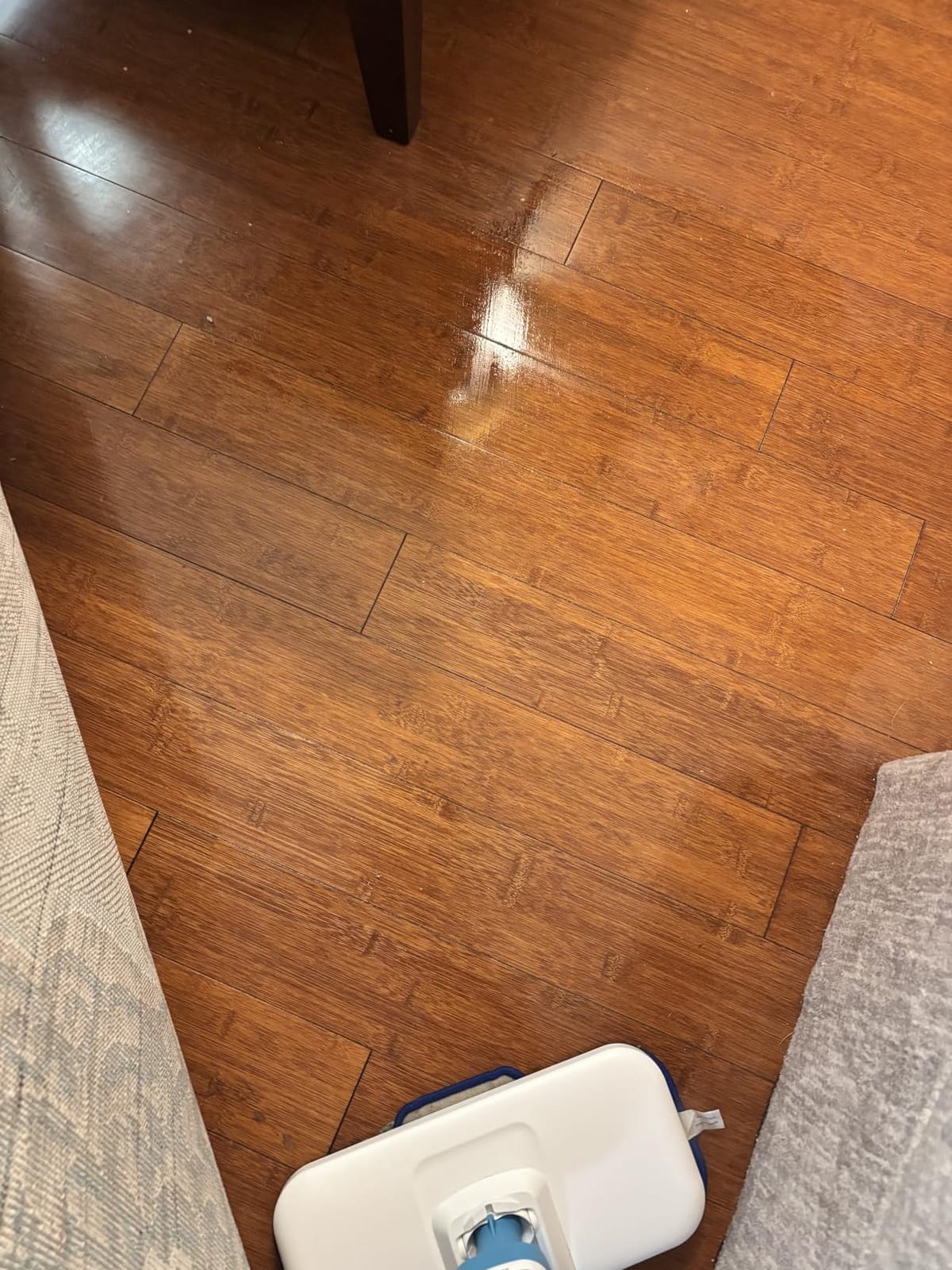 Amazon Basics Steam Mop for All Sealed Hard Floors, Heats Up in 30 Seconds, Chemical-Free Cleaning, 3 Washable Pads, 20-Foot Cord, White customer photo 1