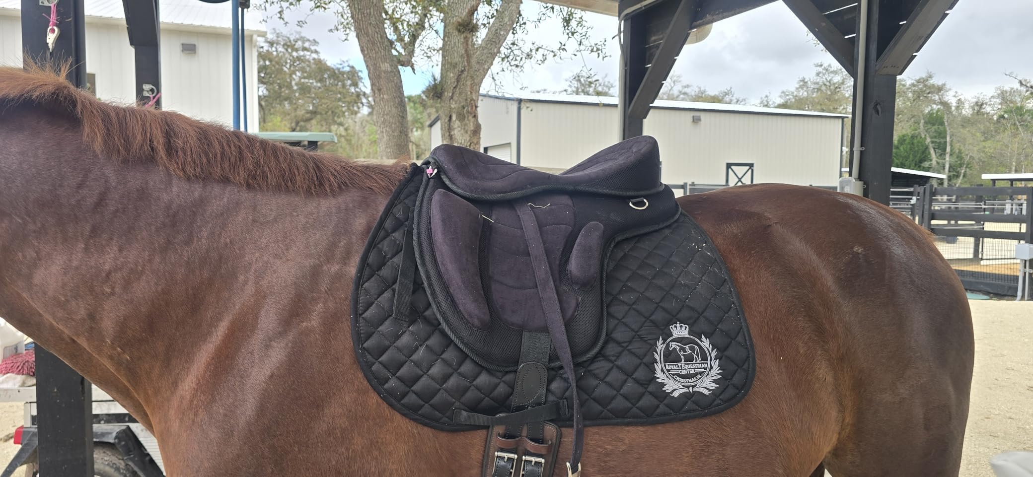 ADB CREATIONS Treeless Freemax English Horse Saddle for Pony & Adult Riders, Lightweight Synthetic All-Purpose Saddle with Girth & Aluminum Stirrups, Flexible Comfort Design, Seat Sizes 10-18 in customer photo 1