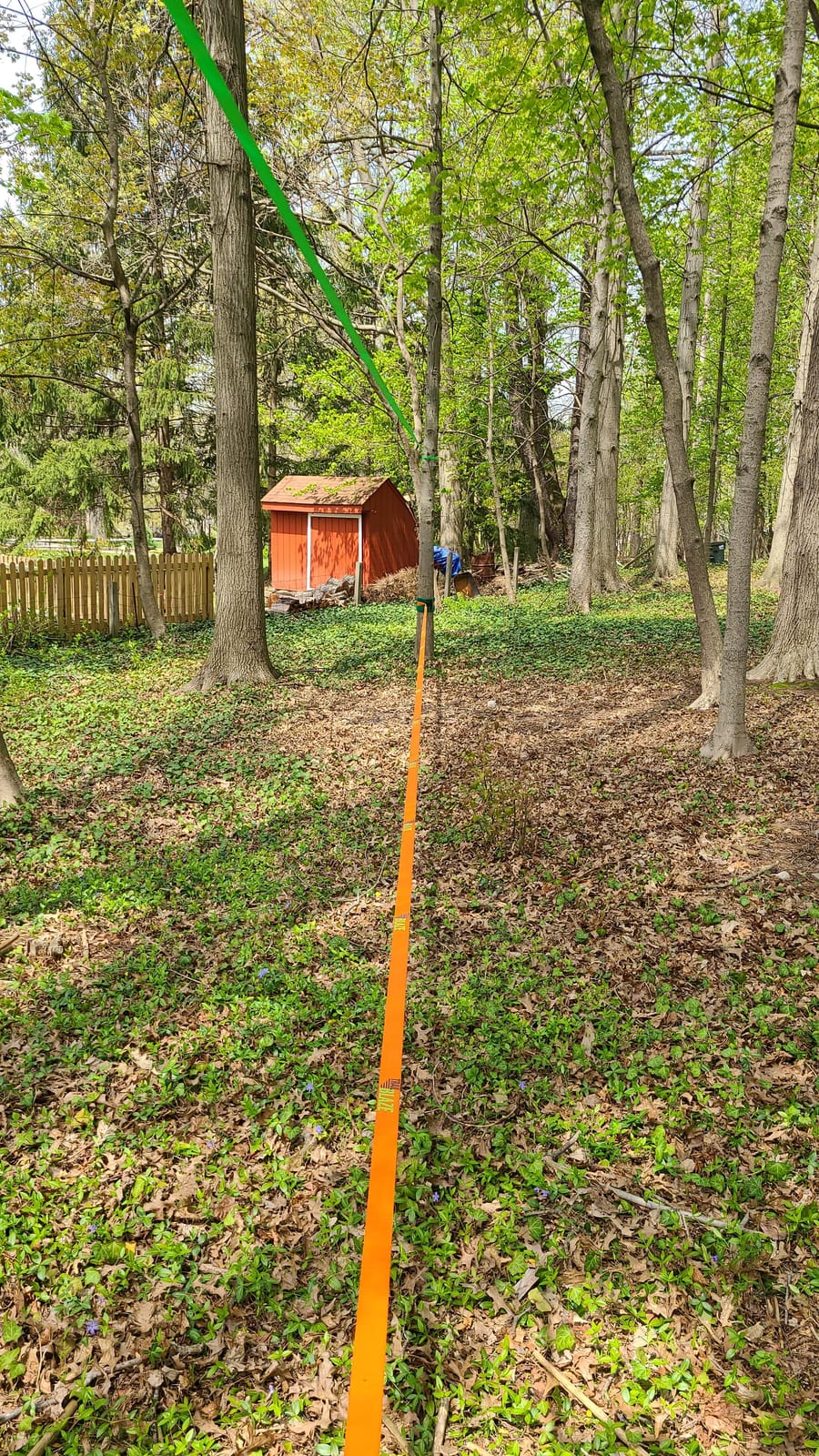 Essential Slackline Kit for Kids & Adults - 60ft Ninja Line (Orange) | 300 lb Capacity, Extra-Wide Tree Protectors, 3 Year Warranty customer photo 1