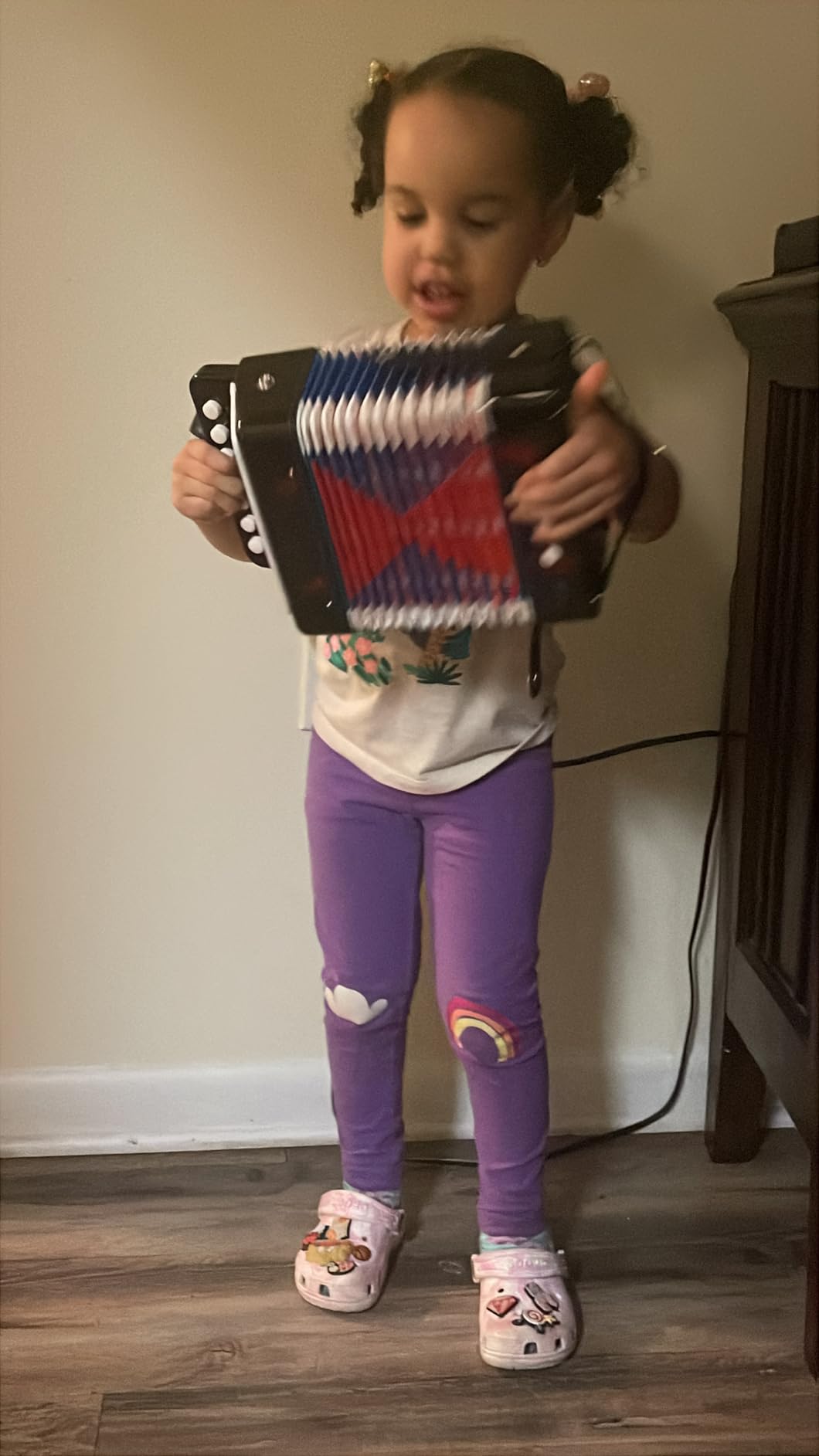 Lotkey 17 Key Piano Accordion, 8 Bass Kids Accordion, Celluloid Body, Metal Cover Accordions Louder Clearer Timbre Than Plastic, Lightweight Design for Beginners to Practice (Red) customer photo 1