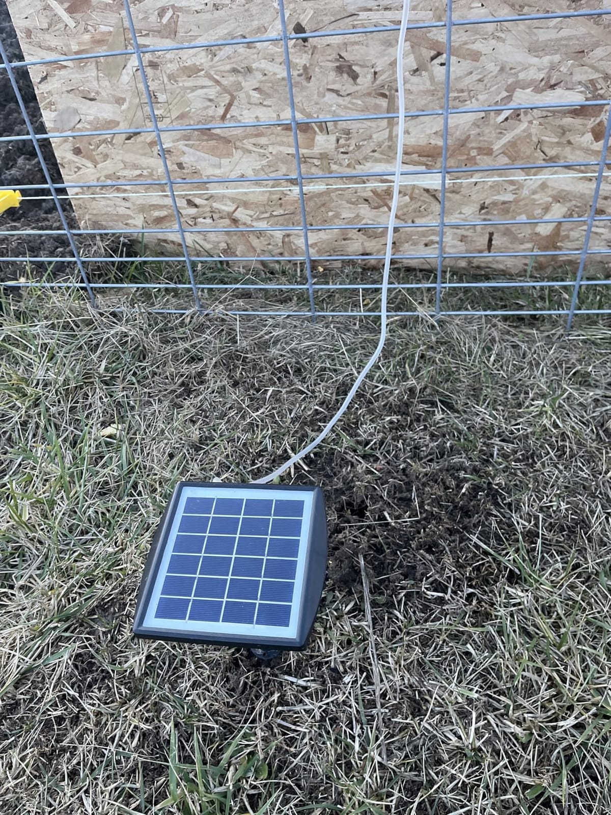 PChero Solar Pond Aerator, 2W & 2200mAh Solar Aquarium Air Pump | with 2 Air Stone, 2 Modes bubbler for Aquarium, Fish Tank, Outdoor Small Pond, Hydroponics customer photo 1