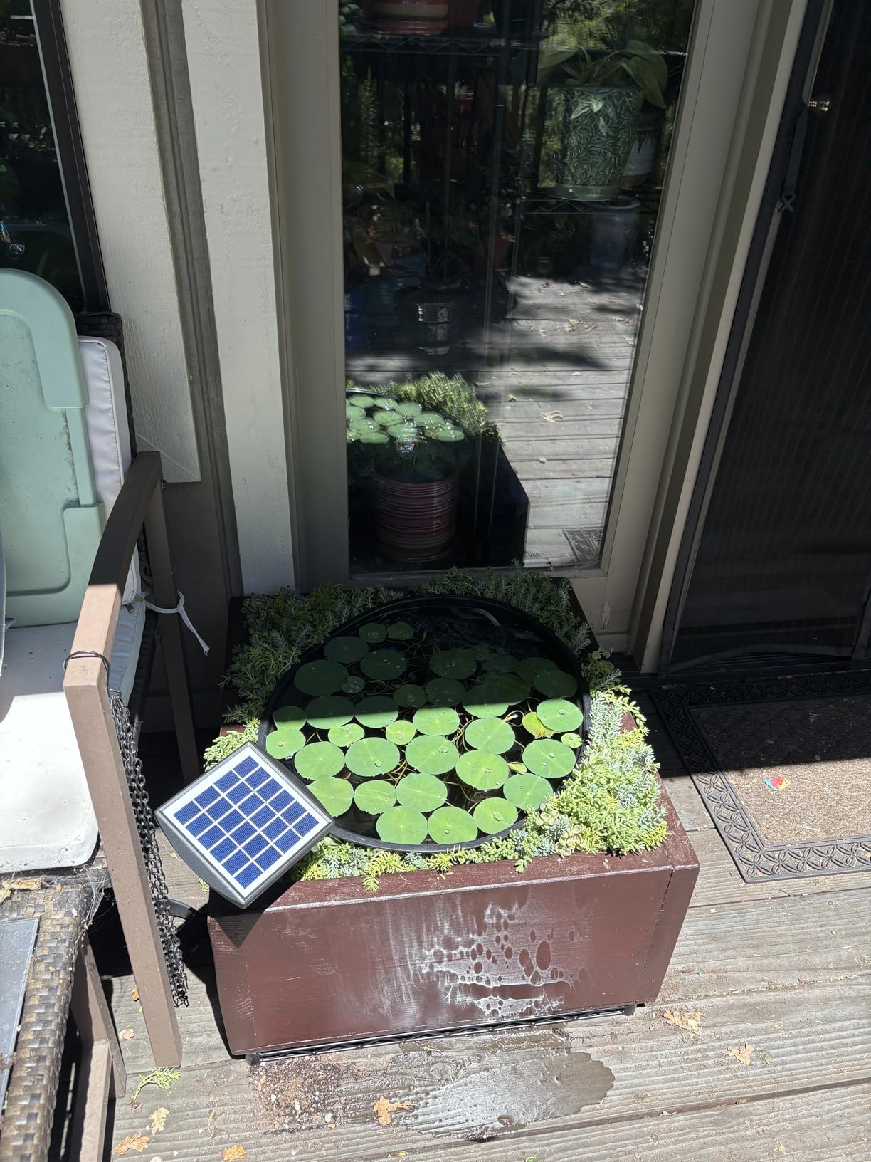 PChero Solar Pond Aerator, 2W & 2200mAh Solar Aquarium Air Pump | with 2 Air Stone, 2 Modes bubbler for Aquarium, Fish Tank, Outdoor Small Pond, Hydroponics customer photo 2
