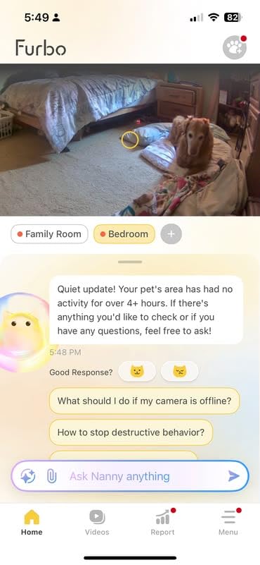 Furbo 360° Dog Camera + Mini [New Subscription Required at Setup] 2-Camera Bundle Nanny Subscription: Dog Safety & Home Security Alerts, Pet Camera with Speaker, Phone App & Night Vision customer photo 1