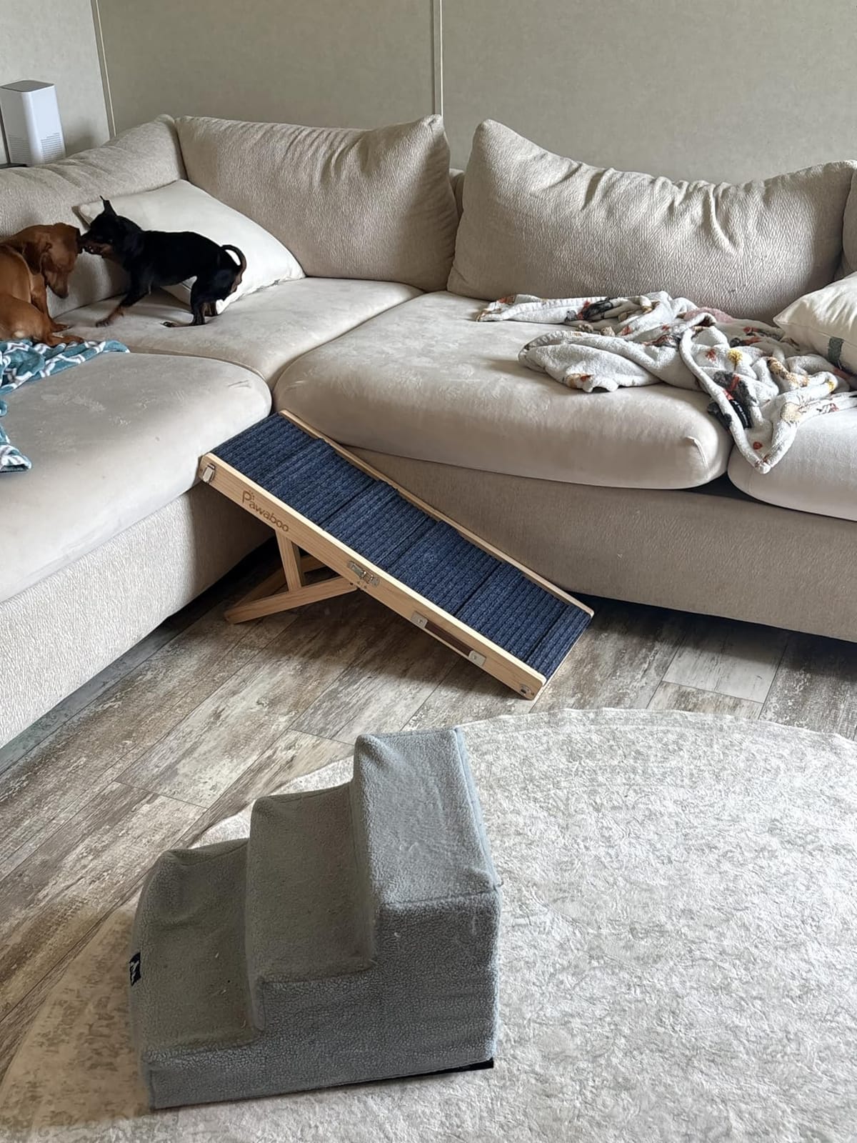 Pawaboo 2026 Upgraded Small Dog Ramp for Couch Foldable, 5 Adjustable Height customer photo 1