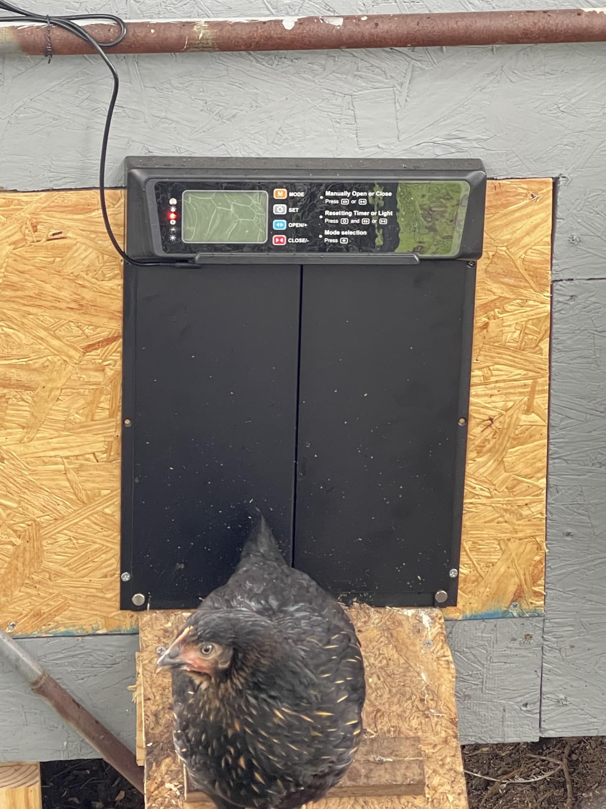 JUJOJB Automatic Chicken Coop Door Solar Powered with Timer & Light Sensor | Battery LCD Screen Automatic Chicken Door Opener With Remote Control, Aluminum, Anti-pinch, Fit Up To 20 lbs, Weatherproof customer photo 1